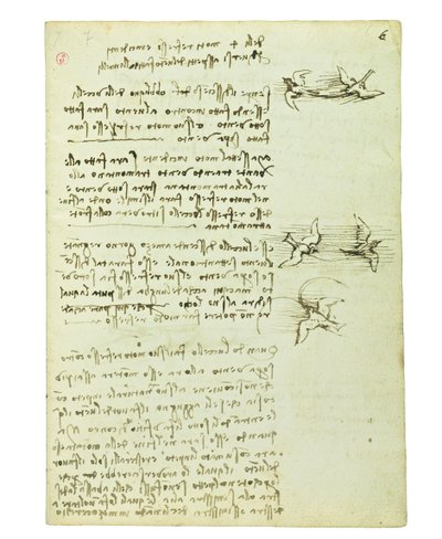 Codex over de vlucht van vogels, Folio 6 recto door Leonardo da Vinci